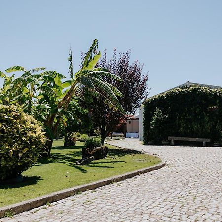 Casa Dos Meus Avos -Villas - Gaia & Porto Вила Нова ди Гая Екстериор снимка